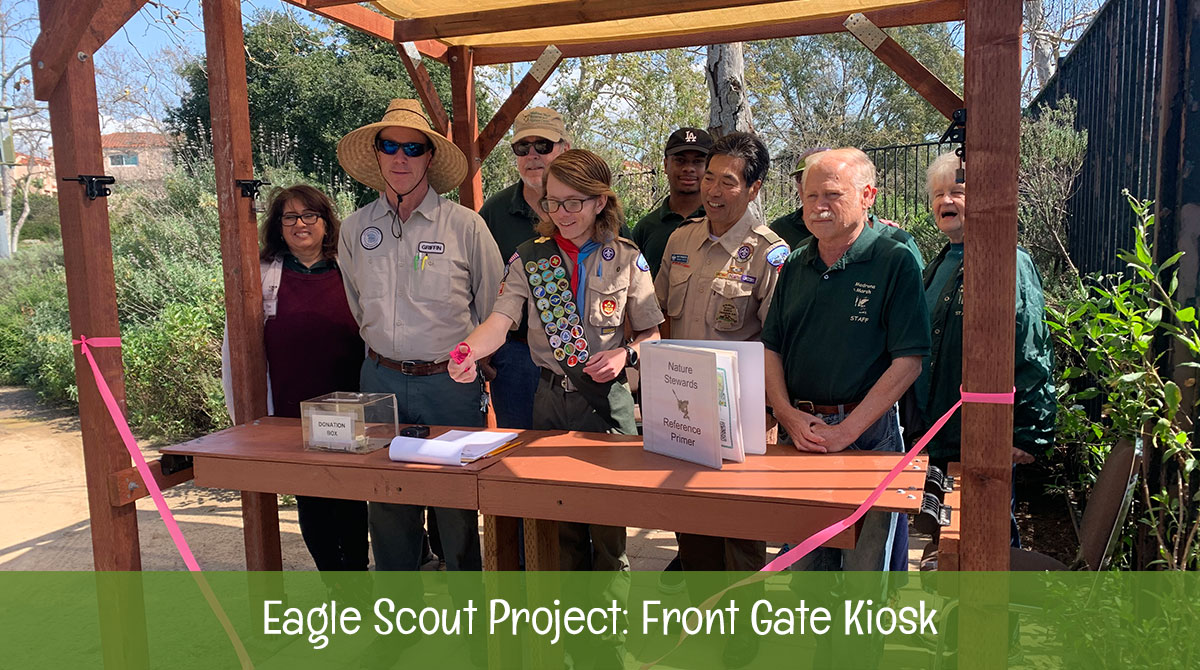 Eagle Scout project at Madrona Marsh front gate kiosk
