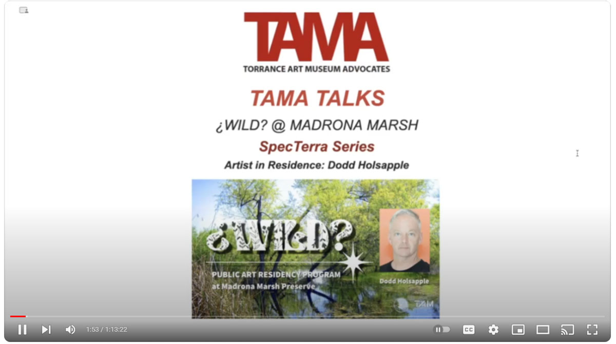 TAMA Talks with ?WILD at Madrona Marsh - Dodd Holsapple