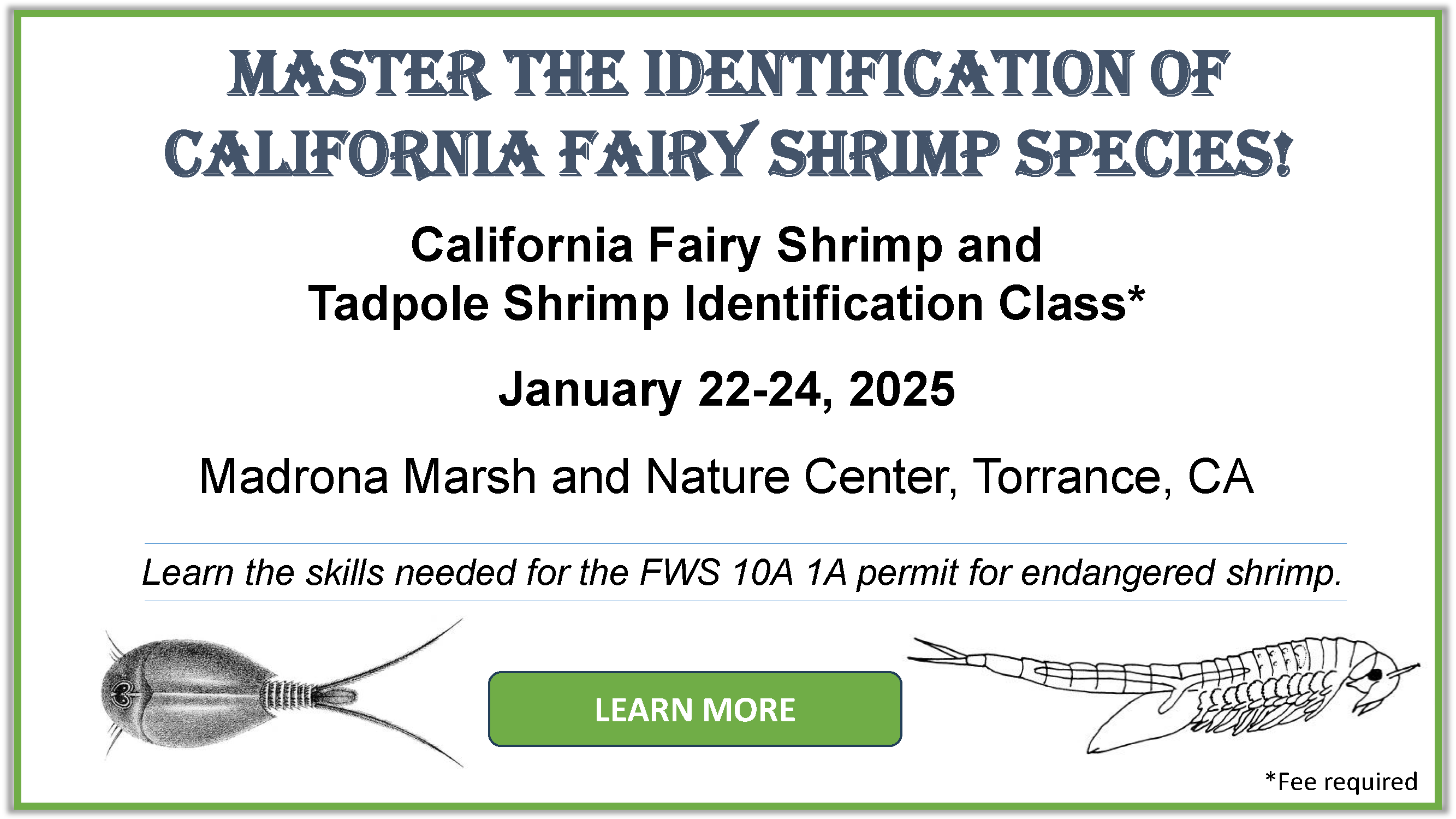 California Anostraca and Notorstraca Identificaton class January 22-24, 2025 held at Mardron Marsh and Nature Center, Torrance CA