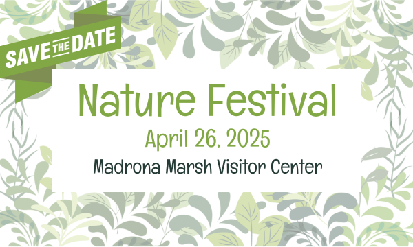 Save the date - April 26, 2025 for the Nature Festival at the Madrona Marsh