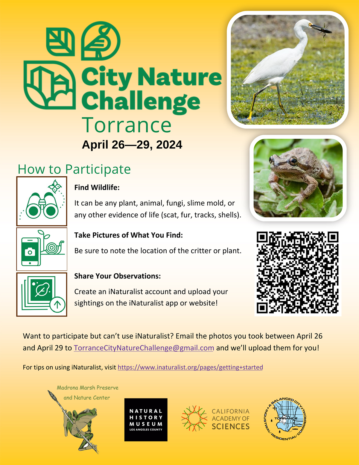 City Nature Challenge 4/26/24 - 4/29/24