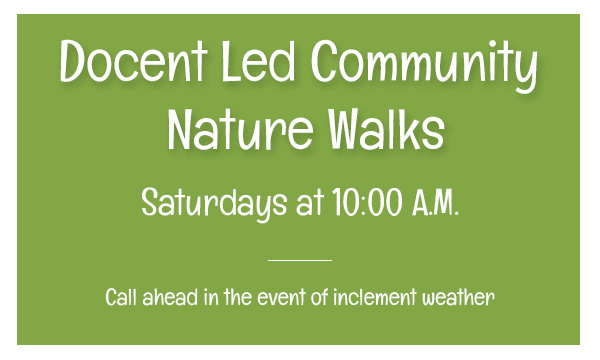 Docent Led Community Nature walks, Saturdays at 10:00 am