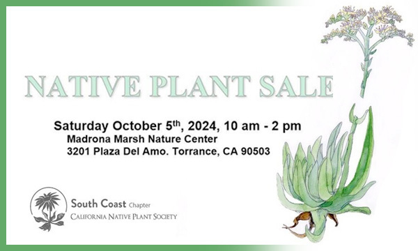 Native Plant Sale at Madrona Marsh on Saturday, October 05, 10AM - 2 PM