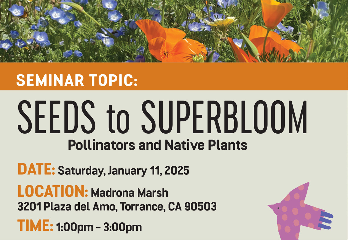 Seeds to Superbloom seminar flyer held at Madrona Marsh 1/11/25