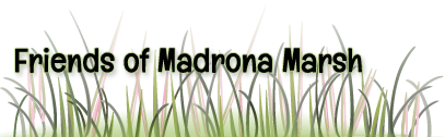 Friends of Madrona Marsh