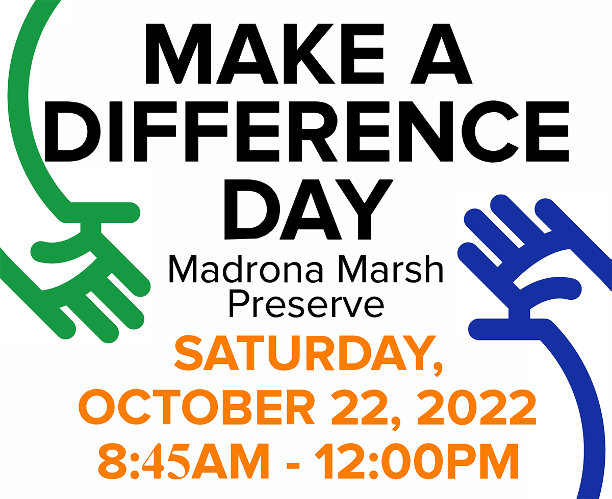 Make a Difference Day at Madrona Marsh