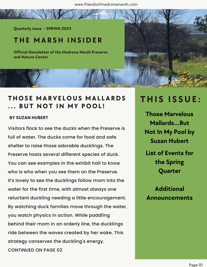 Madrona Marsh Quarterly Newsletter, Spring 2023